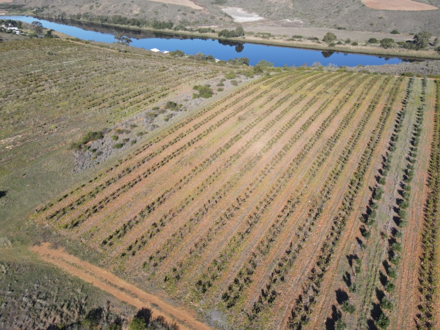 Commercial Property for Sale in Malgas Western Cape